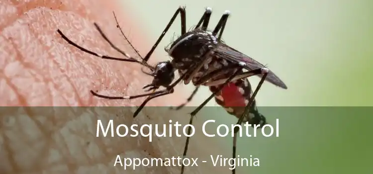 Mosquito Control Appomattox - Virginia