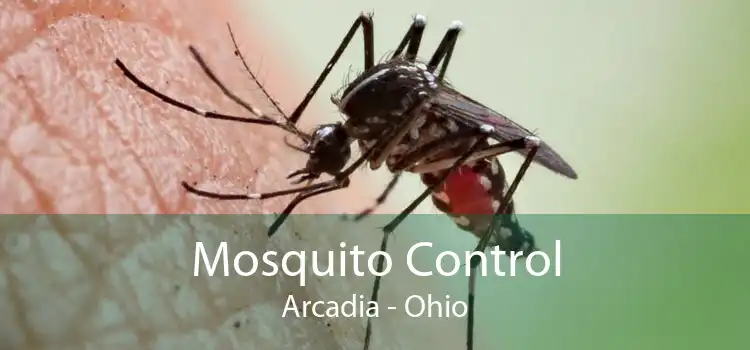 Mosquito Control Arcadia - Ohio