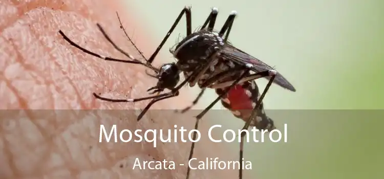 Mosquito Control Arcata - California