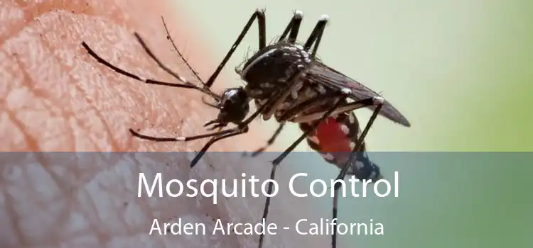 Mosquito Control Arden Arcade - California