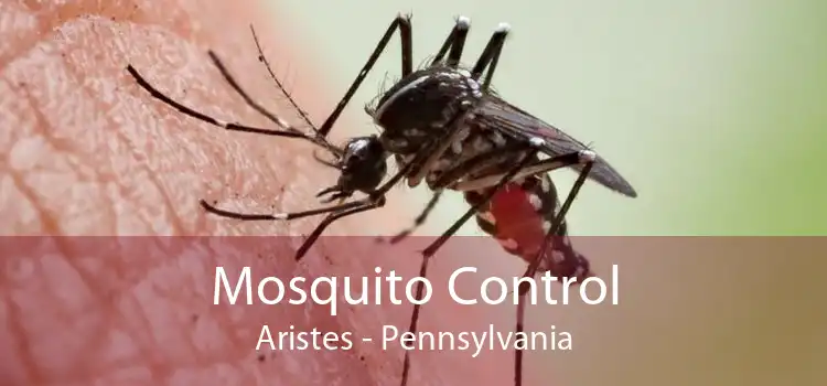 Mosquito Control Aristes - Pennsylvania