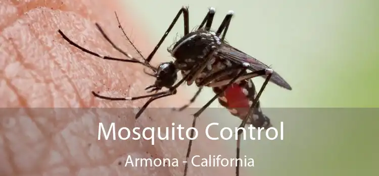 Mosquito Control Armona - California