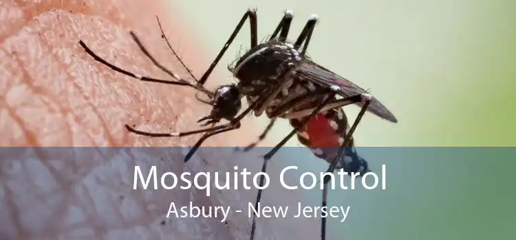 Mosquito Control Asbury - New Jersey