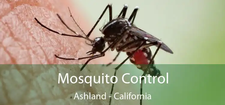 Mosquito Control Ashland - California