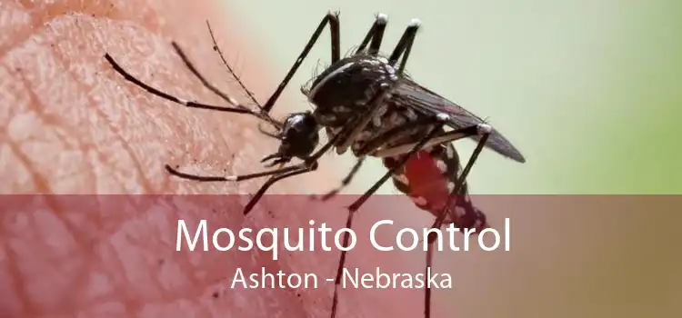 Mosquito Control Ashton - Nebraska