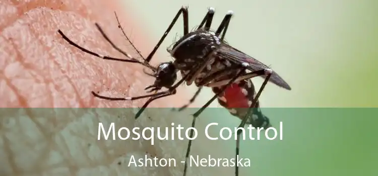 Mosquito Control Ashton - Nebraska