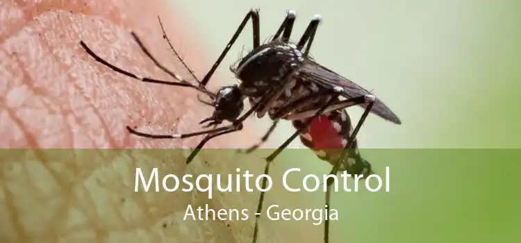 Mosquito Control Athens - Georgia