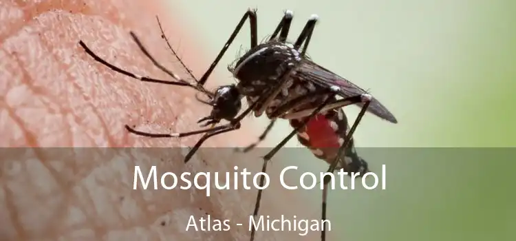 Mosquito Control Atlas - Michigan