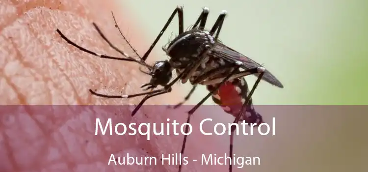 Mosquito Control Auburn Hills - Michigan