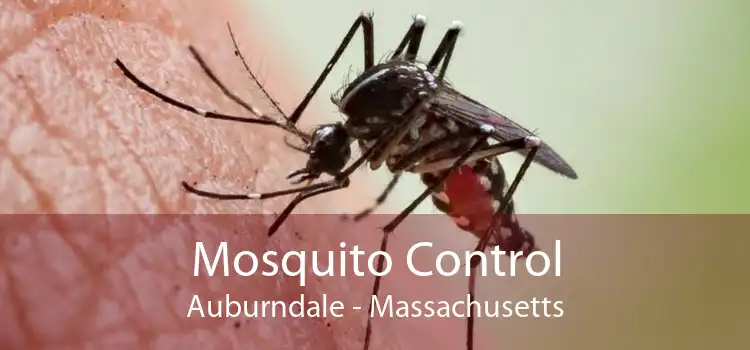 Mosquito Control Auburndale - Massachusetts