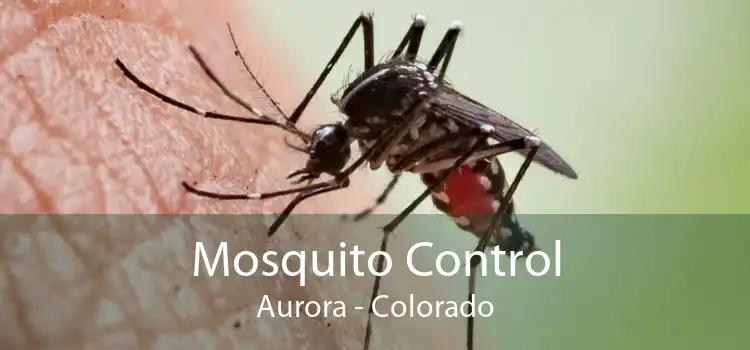 Mosquito Control Aurora - Colorado