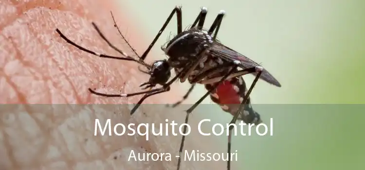 Mosquito Control Aurora - Missouri