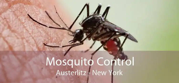 Mosquito Control Austerlitz - New York