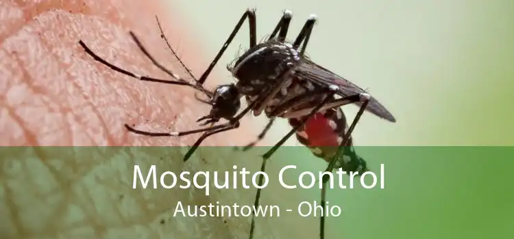 Mosquito Control Austintown - Ohio