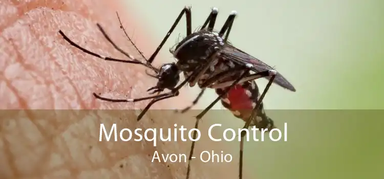 Mosquito Control Avon - Ohio