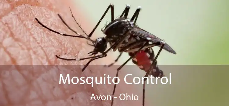 Mosquito Control Avon - Ohio