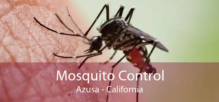 Mosquito Control Azusa - California