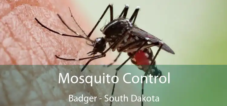 Mosquito Control Badger - South Dakota