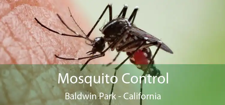 Mosquito Control Baldwin Park - California