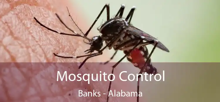 Mosquito Control Banks - Alabama