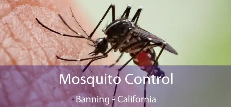 Mosquito Control Banning - California