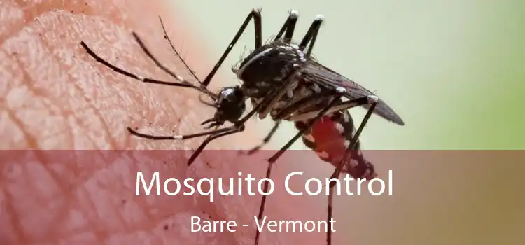 Mosquito Control Barre - Vermont