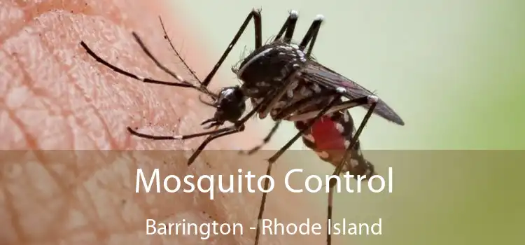 Mosquito Control Barrington - Rhode Island