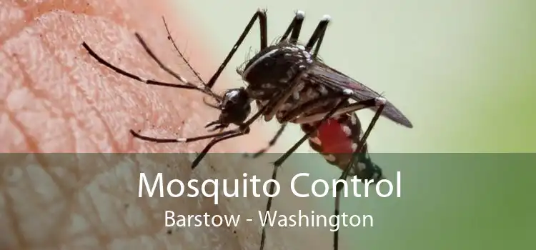 Mosquito Control Barstow - Washington