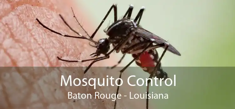 Mosquito Control Baton Rouge - Louisiana