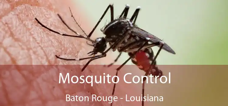 Mosquito Control Baton Rouge - Louisiana