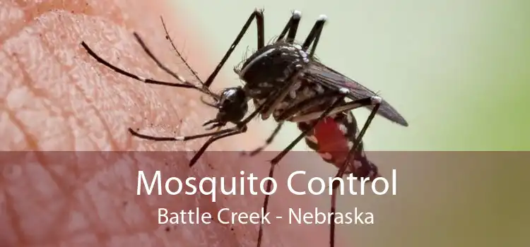 Mosquito Control Battle Creek - Nebraska