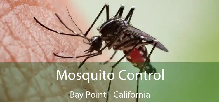 Mosquito Control Bay Point - California