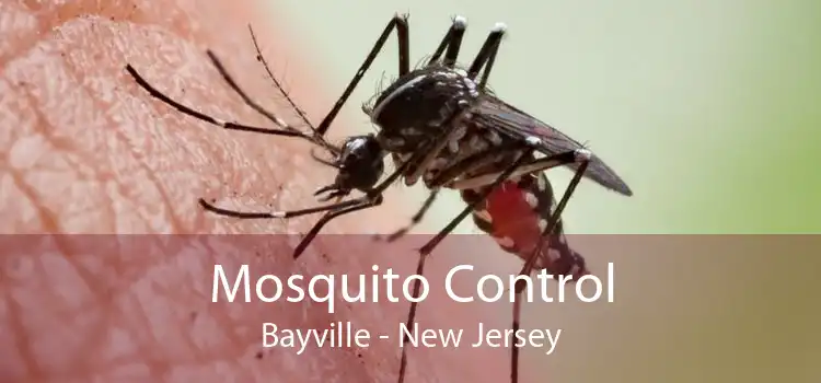 Mosquito Control Bayville - New Jersey