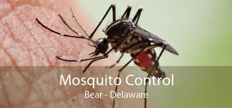 Mosquito Control Bear - Delaware