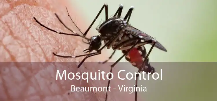 Mosquito Control Beaumont - Virginia