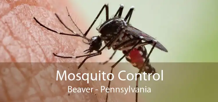 Mosquito Control Beaver - Pennsylvania
