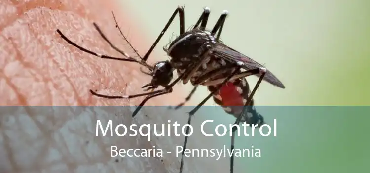 Mosquito Control Beccaria - Pennsylvania