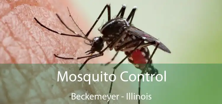 Mosquito Control Beckemeyer - Illinois