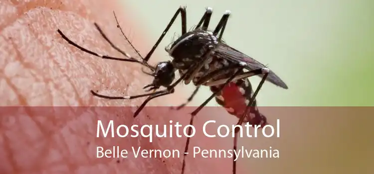 Mosquito Control Belle Vernon - Pennsylvania