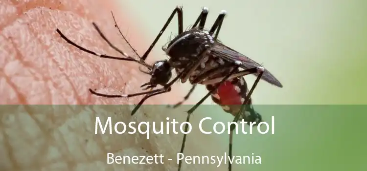 Mosquito Control Benezett - Pennsylvania