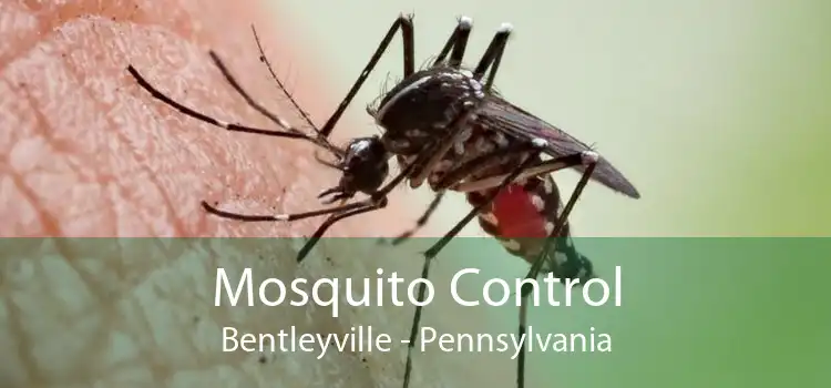 Mosquito Control Bentleyville - Pennsylvania