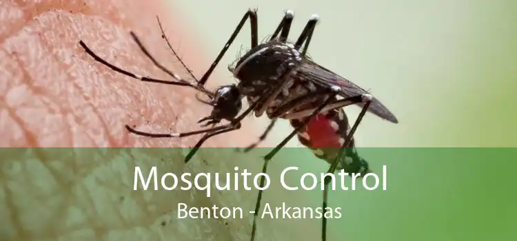 Mosquito Control Benton - Arkansas
