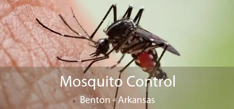 Mosquito Control Benton - Arkansas