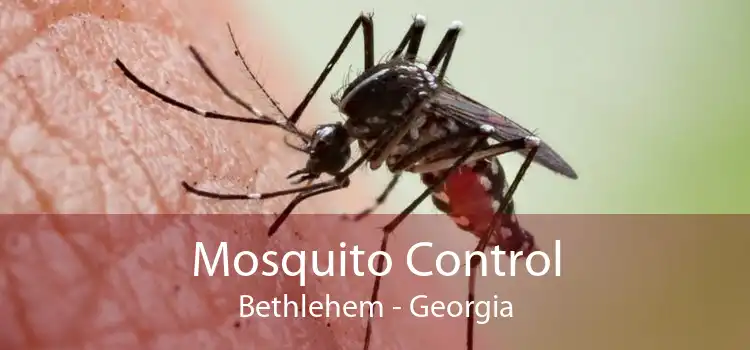 Mosquito Control Bethlehem - Georgia