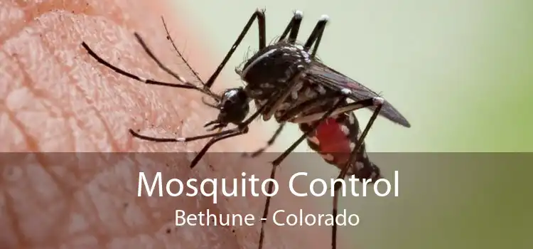 Mosquito Control Bethune - Colorado