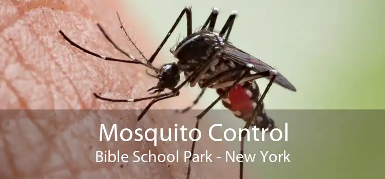 Mosquito Control Bible School Park - New York