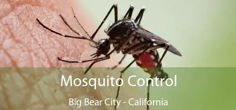 Mosquito Control Big Bear City - California