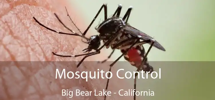 Mosquito Control Big Bear Lake - California