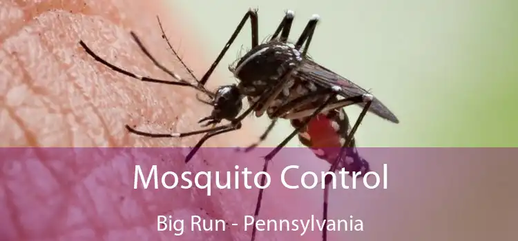 Mosquito Control Big Run - Pennsylvania