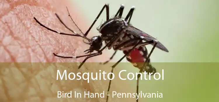 Mosquito Control Bird In Hand - Pennsylvania